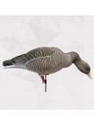 Чучела серого гуся Duck Mania "ALFA", комплект 6 штук
